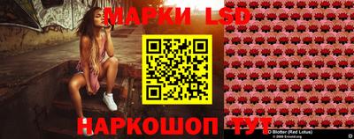 Альфа ПВП Пушкино
