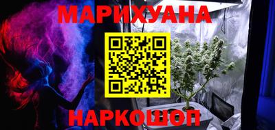 Альфа ПВП Пушкино