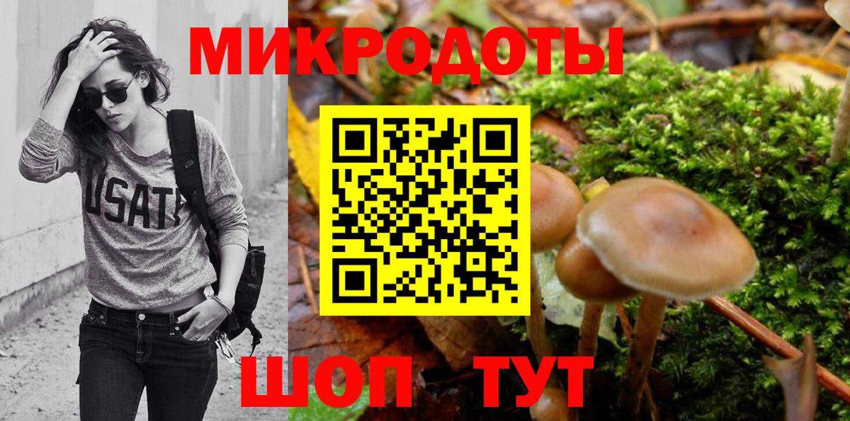Северобайкальск  Галлюциногенные грибы прущие грибы  Вход с VPN 